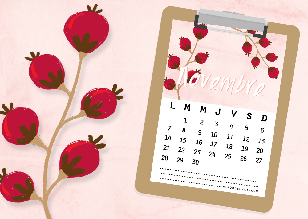 lien_calendrier_novembrel_2016_mlc