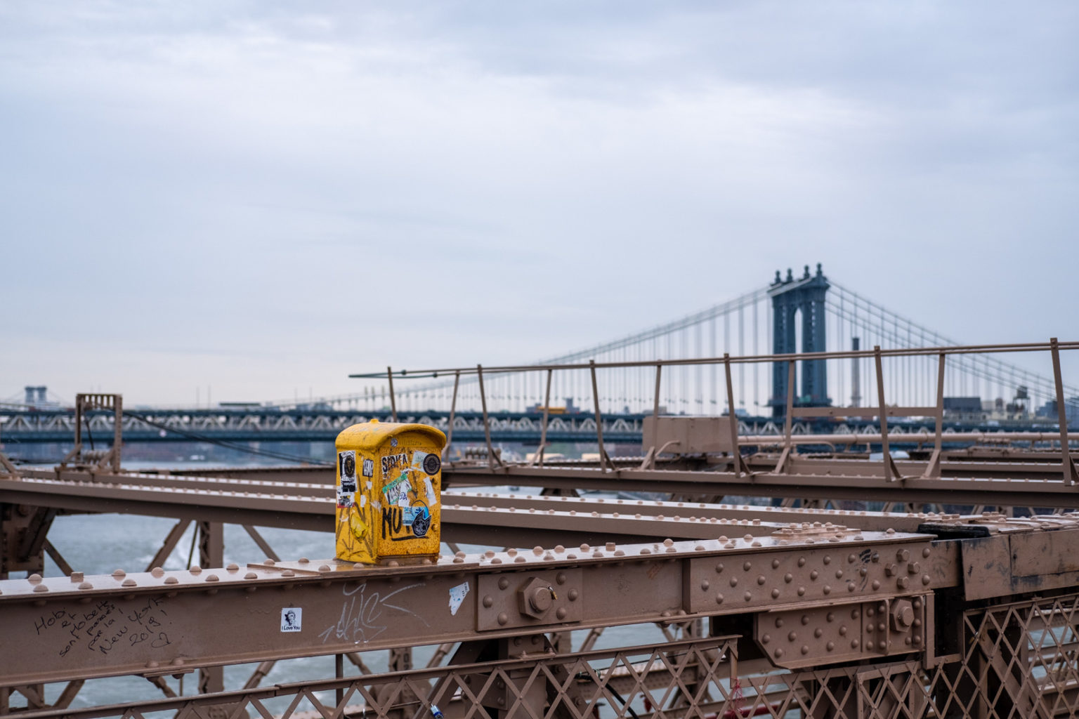 Photographier New York sous la pluie - Minou le chat