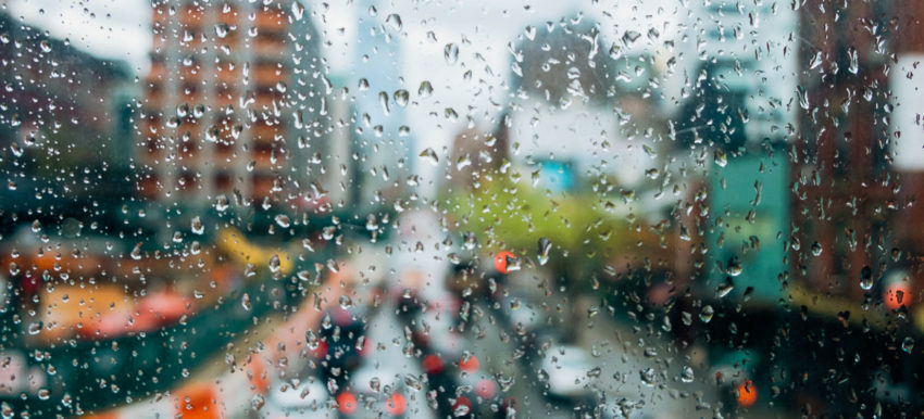 Photographier New York sous la pluie - Minou le chat